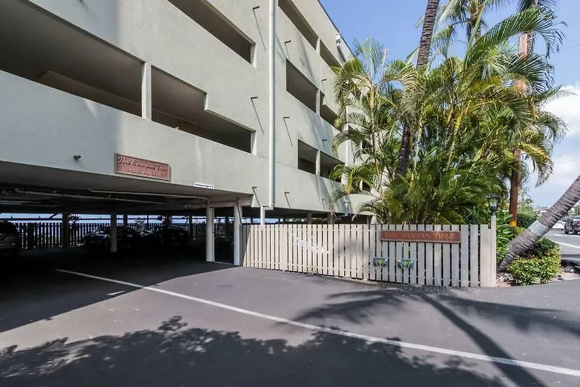 Banyan Tree 305 - Two Bedroom Condo Hawaii - Hawaii  Hawaii - Hawaii (Big Island)