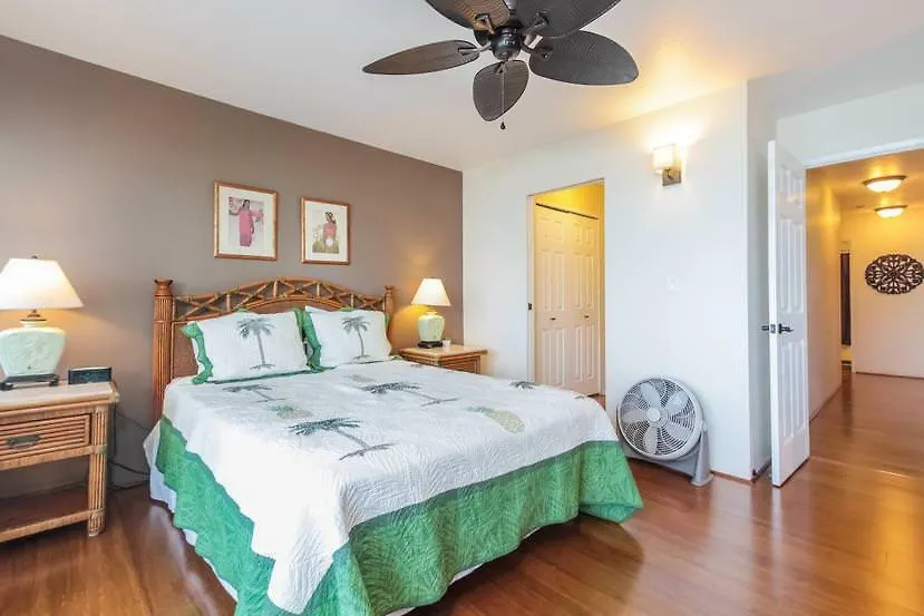 Banyan Tree 305 - Two Bedroom Condo Hawaii - Hawaii  0*, Hawaii - Hawaii (Big Island) 美国